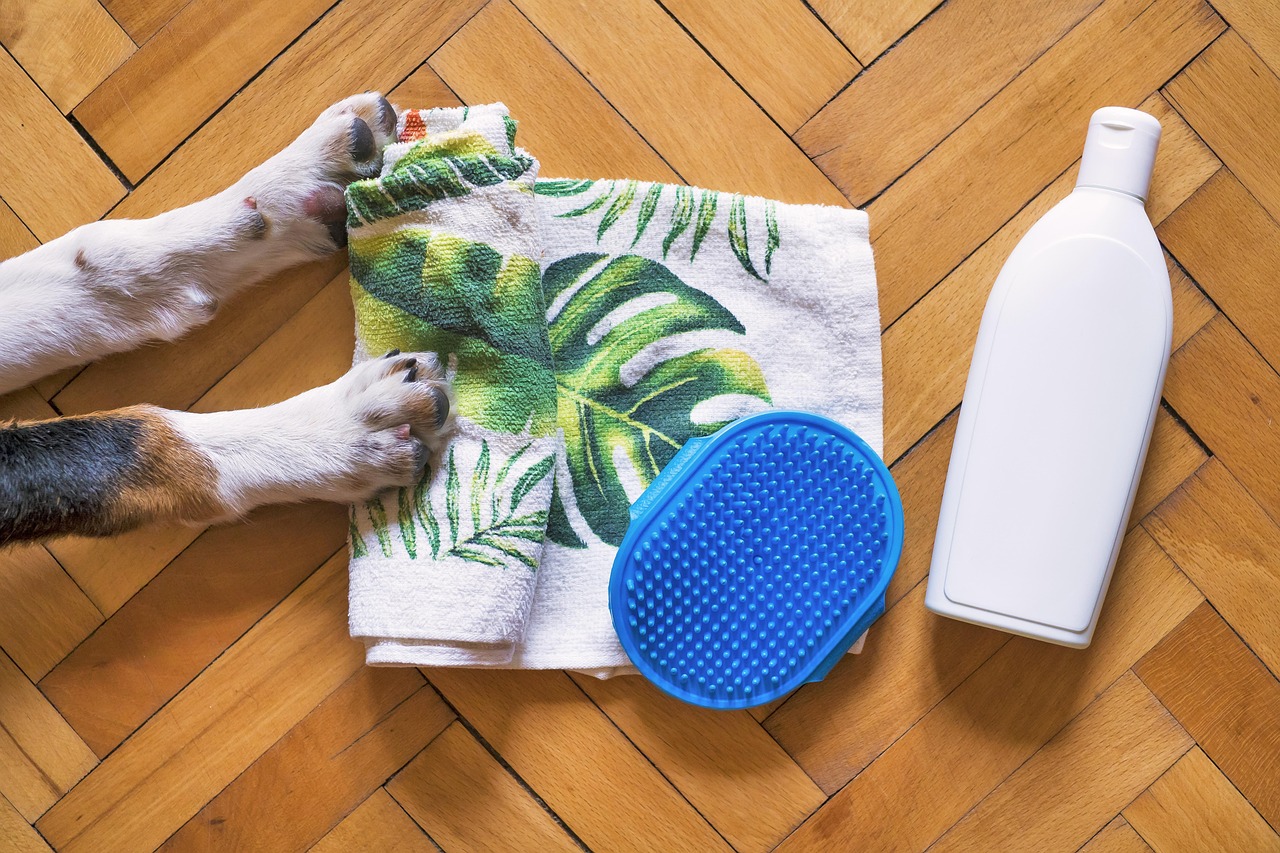 dog, dog shampoo, dog wash, dog flea shampoo, puppy shampoo, puppy wash, dog bath, puppy bath, dog grooming, pet shampoo, dog tick shampoo, dog brush, dog shampoo, dog shampoo, dog shampoo, dog shampoo, dog shampoo, dog wash, dog wash, dog grooming, dog grooming, pet shampoo, dog brush, dog brush